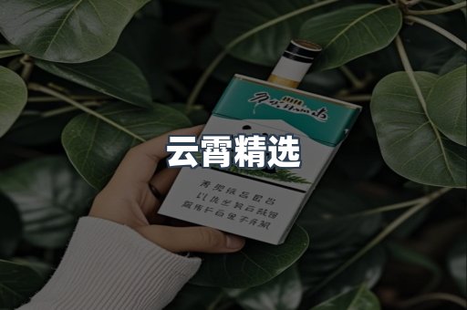 云霄香烟批发